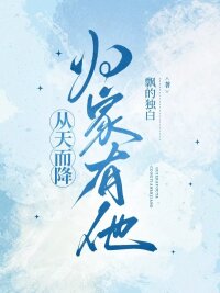 从天而降：归家有他