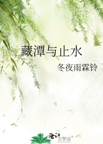 藏潭与止水